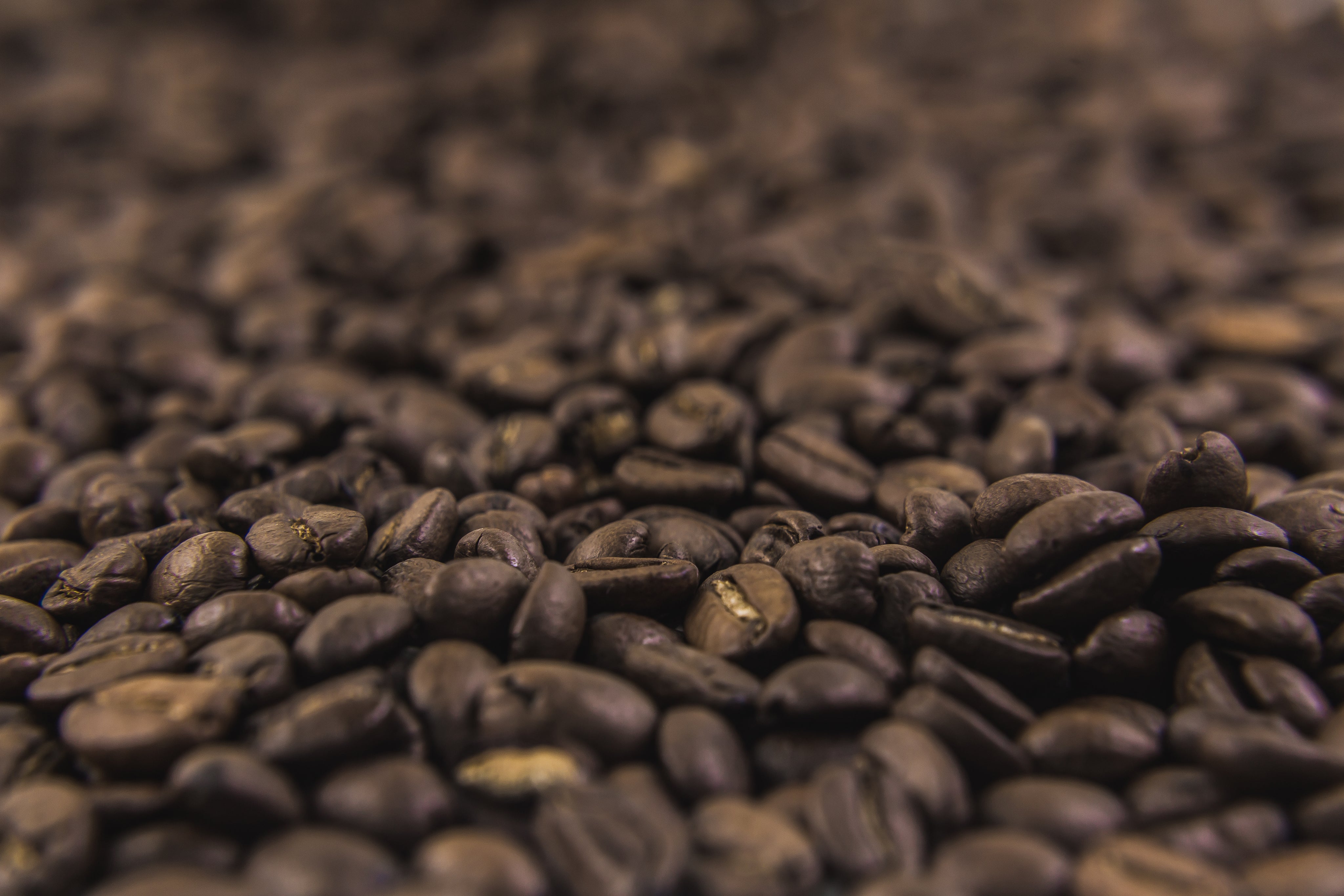 KOUNOU-COFFEE
