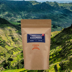 エチオピア イルガチャフィー ブナブナ G1 ナチュラル咖啡豆KOUNOU - COFFEEKOUNOU - COFFEEETH - N - B - 200