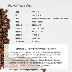 グアテマラ ファンシーサンタロッサ SHB ウォッシュド ドリップコーヒードリップコーヒーKOUNOU - COFFEEKOUNOU - COFFEEGUA - W - D - 9