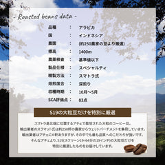 インドネシア アチェ ジャンボガヨ G1 S19 スマトラ式 ホールビーン咖啡豆KOUNOU-COFFEEKOUNOU-COFFEEMAN-S-B-200