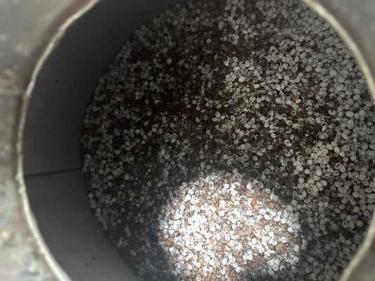 発酵コーヒーとは？アナエロビックなど、いま注目される“発酵を活かすコーヒー”の本質 - KOUNOU-COFFEE
