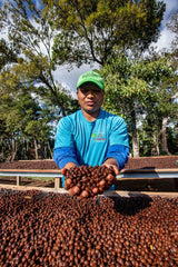 パナマ ゲイシャ ウォッシュド Mi Finquita咖啡豆KOUNOU - COFFEEKOUNOU - COFFEEGEI-W-B-100