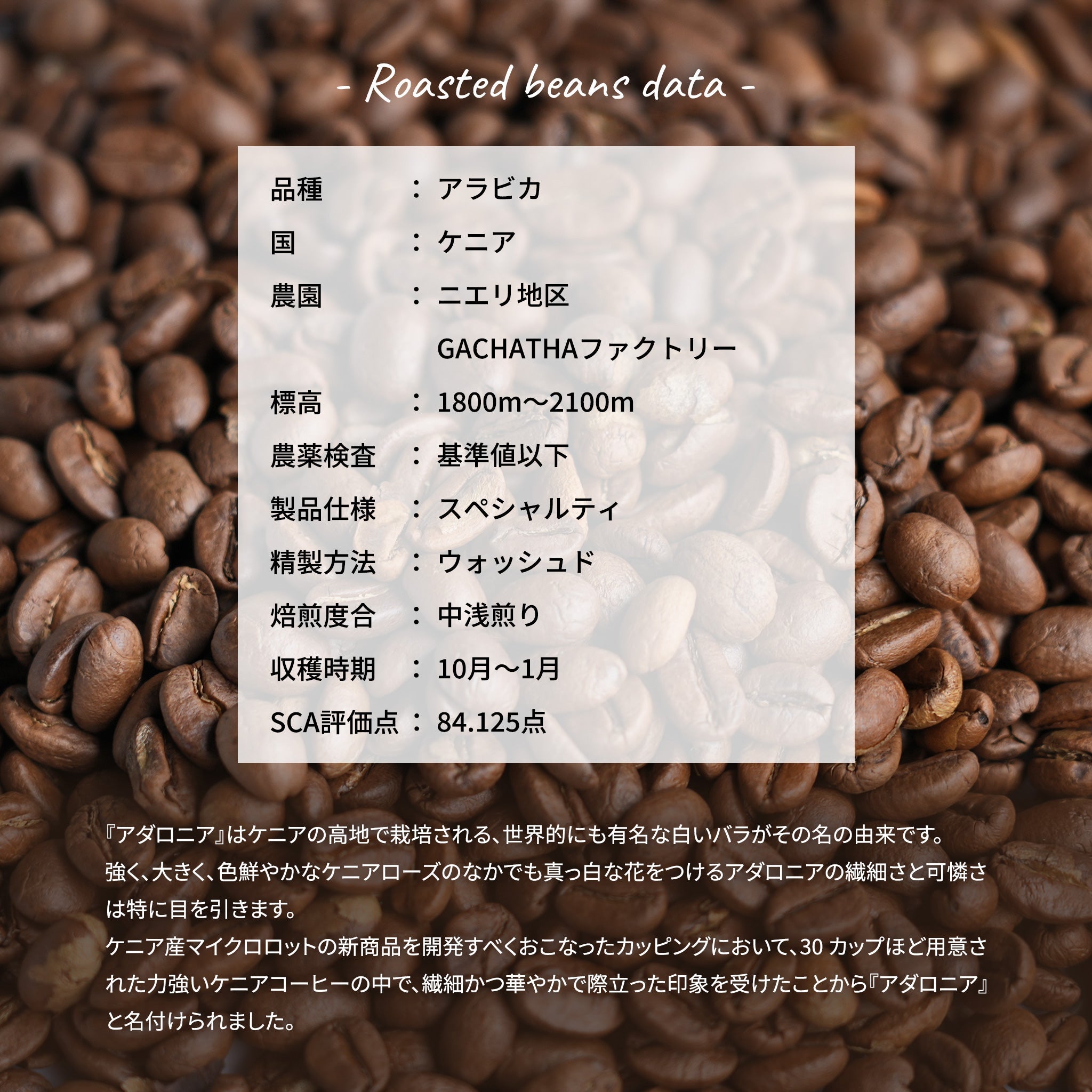 ケニア アダロニア ウォッシュド ホールビーン咖啡豆KOUNOU - COFFEEKOUNOU - COFFEE