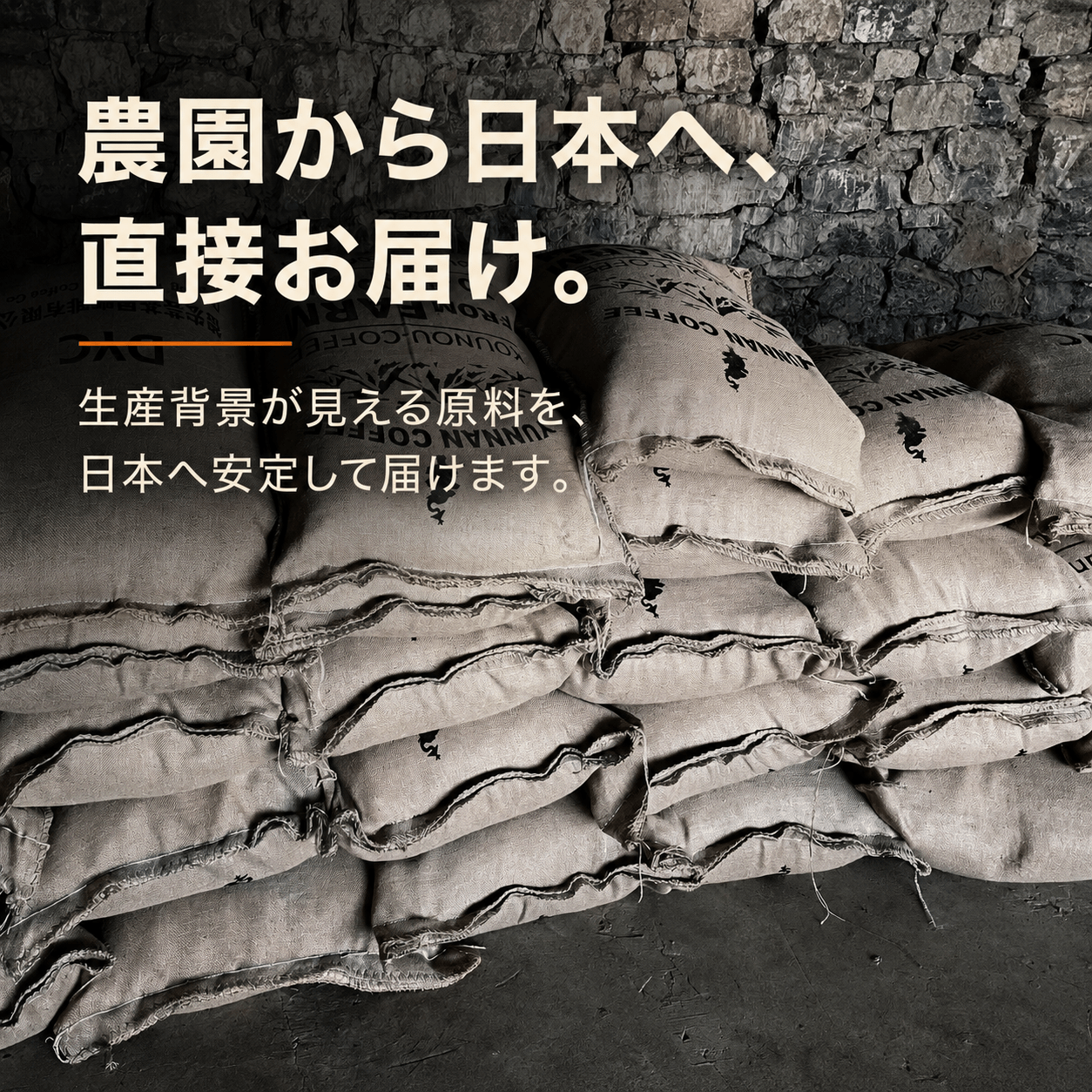 カスカラ　雲南農園直営goodsKOUNOU-COFFEEKOUNOU-COFFEEYUN-CAS-50-FBM