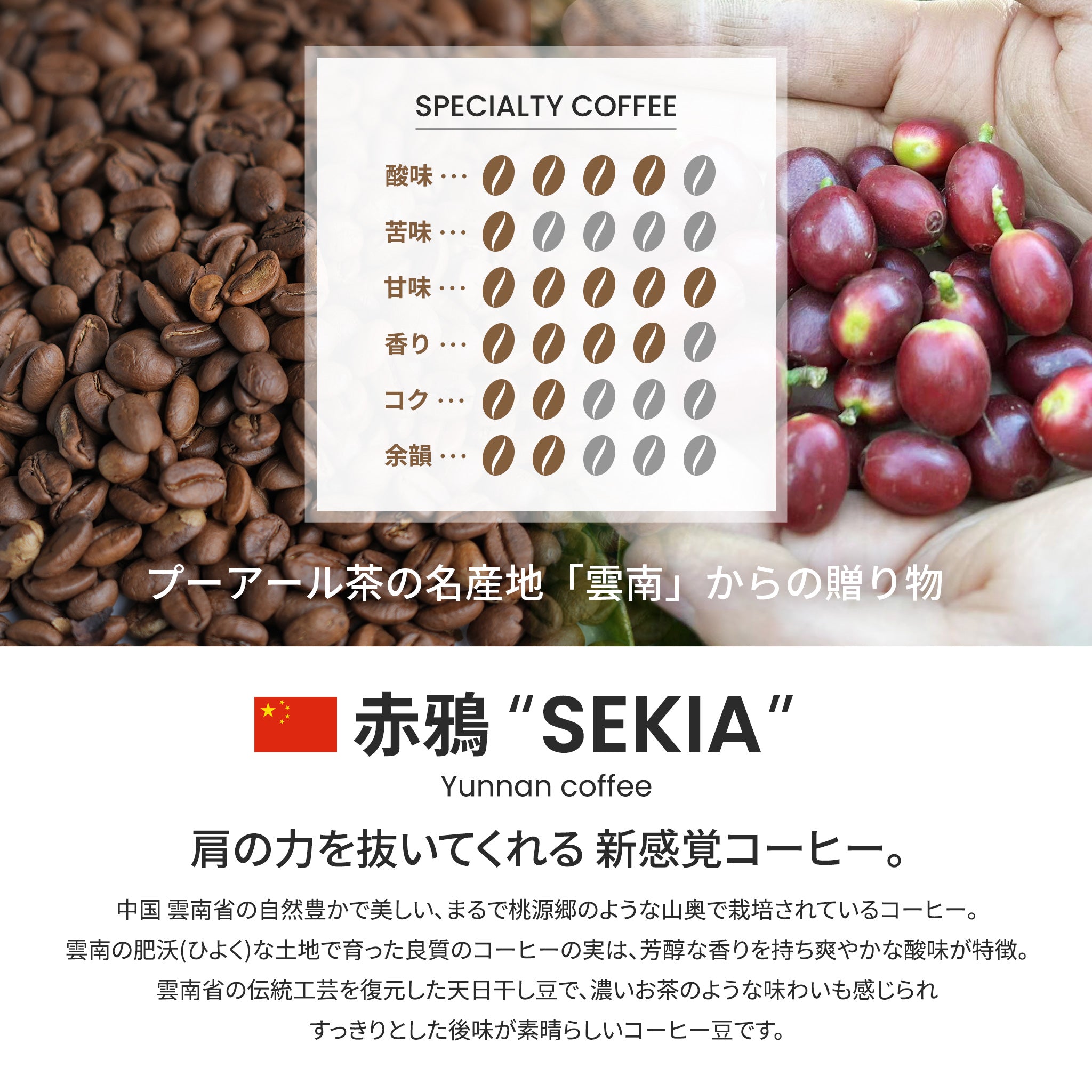 雲南珈琲 赤鴉(SEKIA) ナチュラル ドリップコーヒードリップコーヒーKOUNOU - COFFEEKOUNOU - COFFEEYUN - N - D - 3